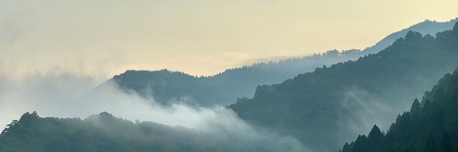 MidoriBarral's profile banner image