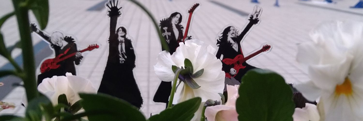 kaori_tiny's profile banner image