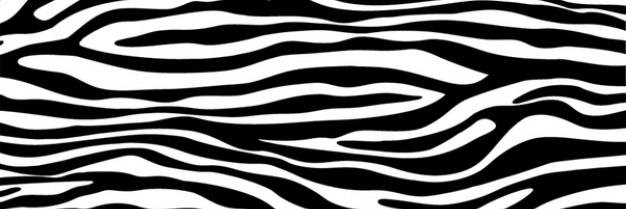 CMopin's profile banner image
