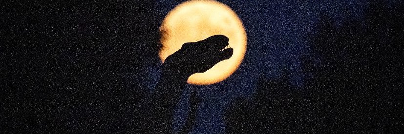 erdemuys's profile banner image