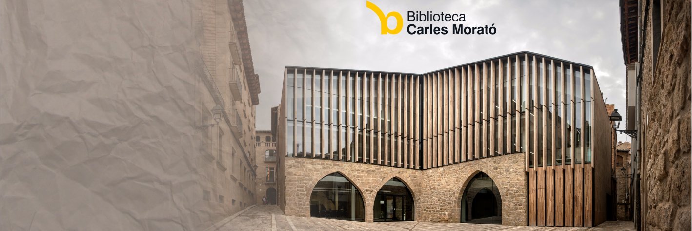 Biblioteca Solsona banner