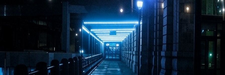 PLARADISE's profile banner image