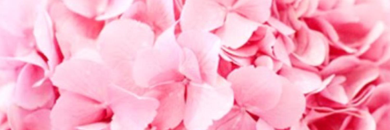 sheahench's profile banner image