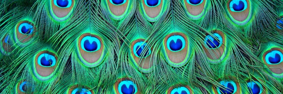 world_knowlege's profile banner image