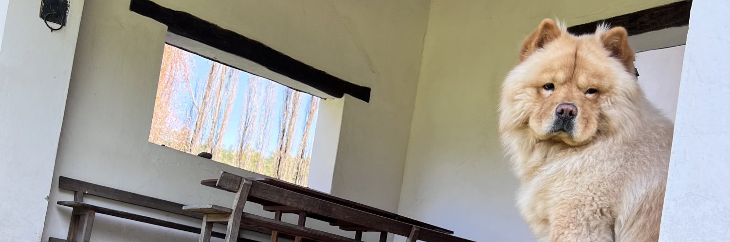 chuchicuneo's profile banner image