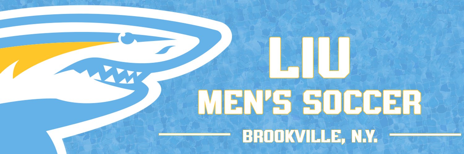 LIUMSOC's profile banner image