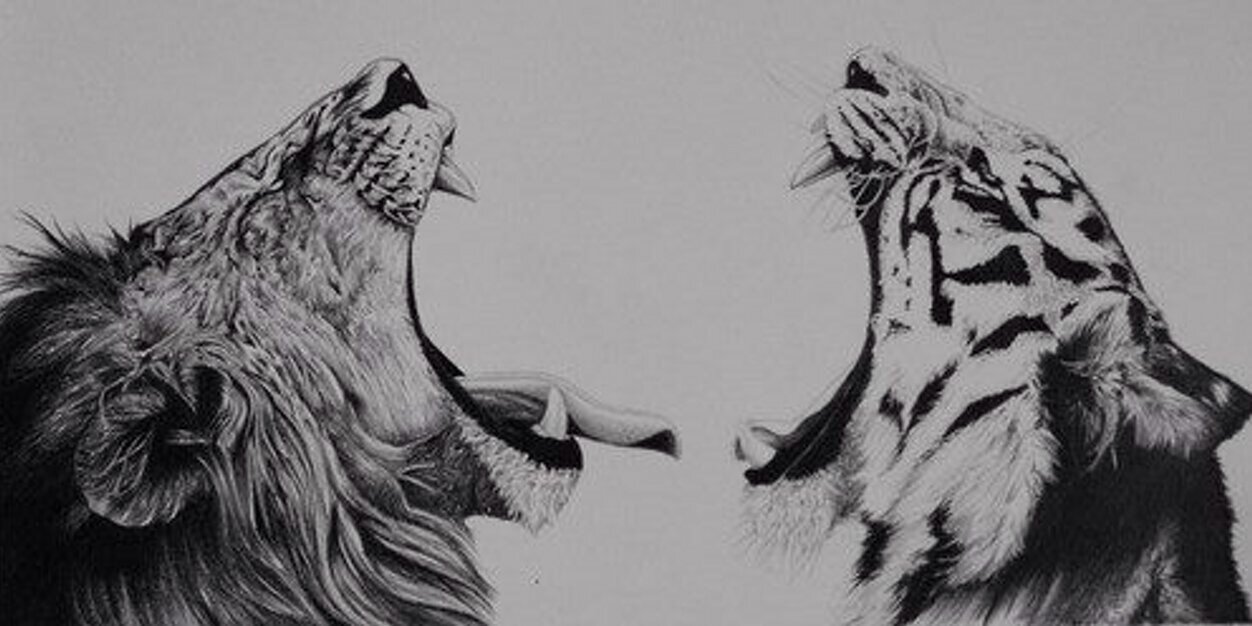 aspergevlieg's profile banner image