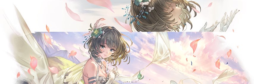 c803's profile banner image