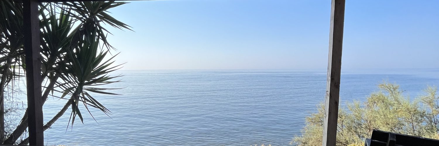 dvycamille's profile banner image