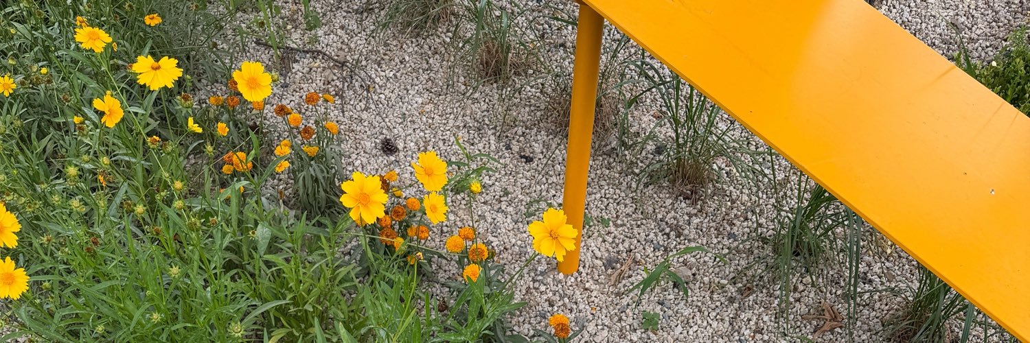 daisiesforanton's profile banner image