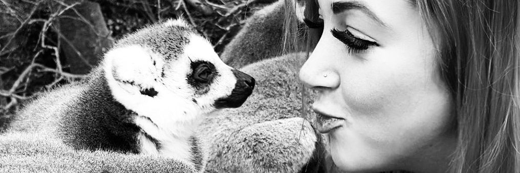SallyReedx's profile banner image