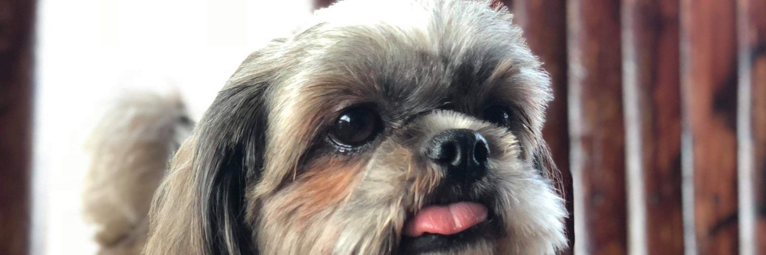jeschxx's profile banner image