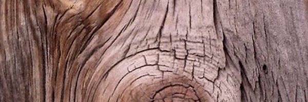 MILMS9 Profile Banner