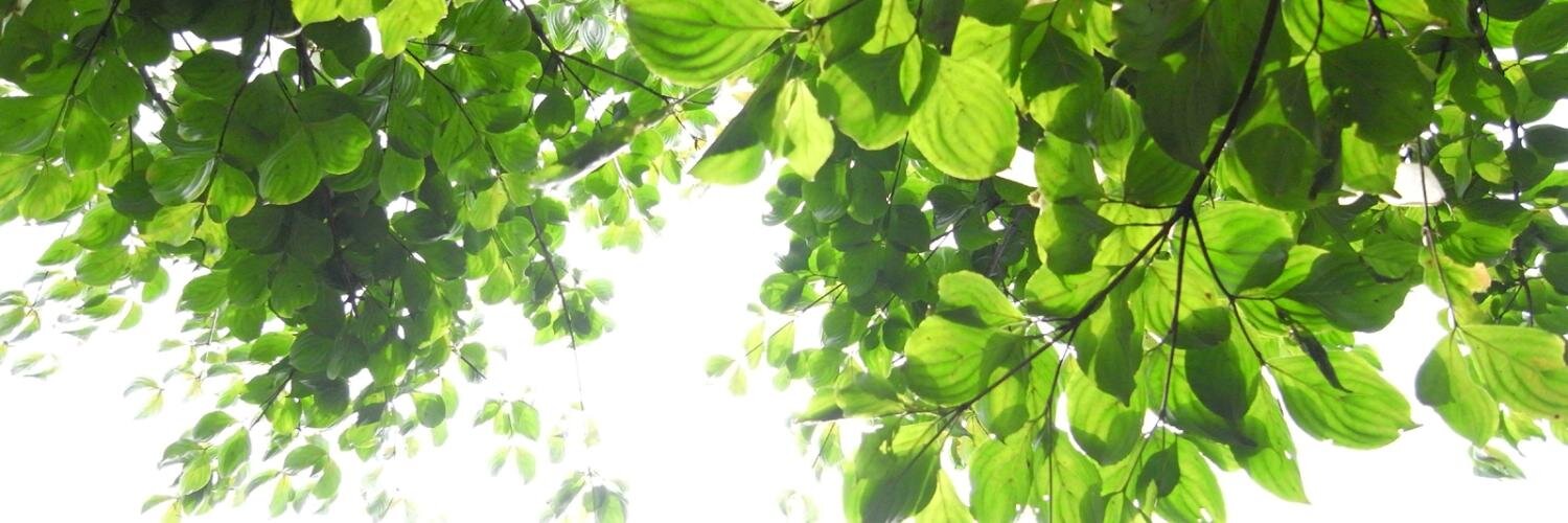 yamasaki696's profile banner image