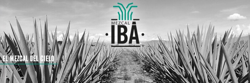 IBAmezcal's profile banner image