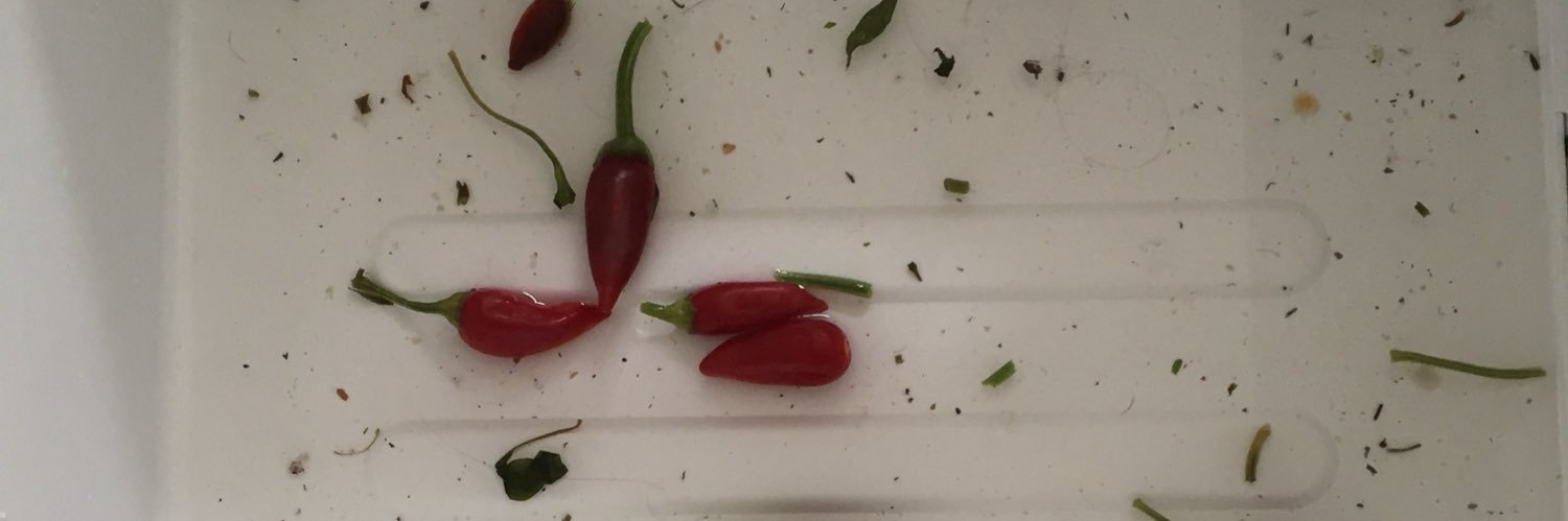 Amelie Sittenauer banner