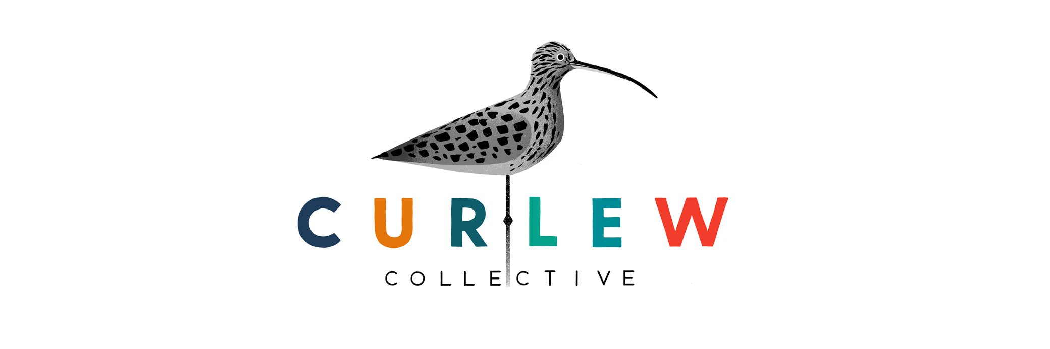 Curlew Collective banner
