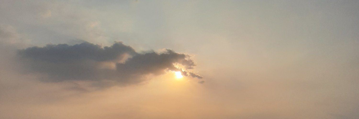 alfridaNR's profile banner image