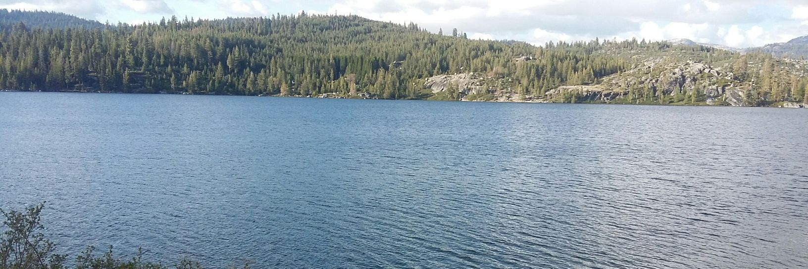 Brandi🥸❤️🤍💙😎 banner