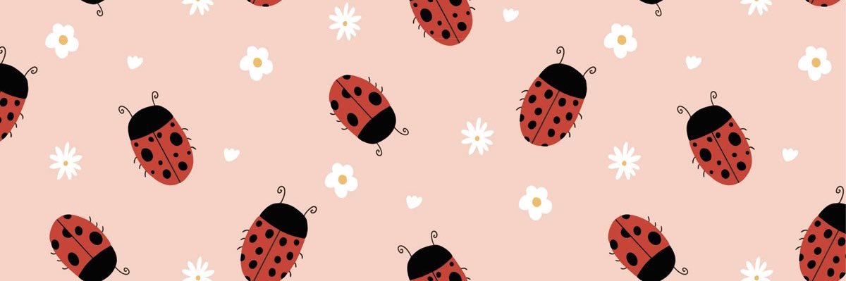 TAPIOCA 🐞 banner
