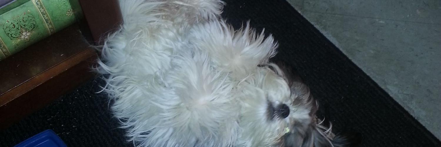 nicksanchezlmt's profile banner image