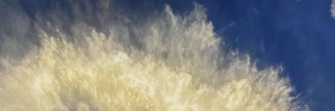 Hardeman's profile banner image