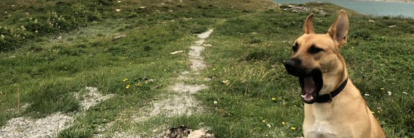 amirmabhout Profile Banner