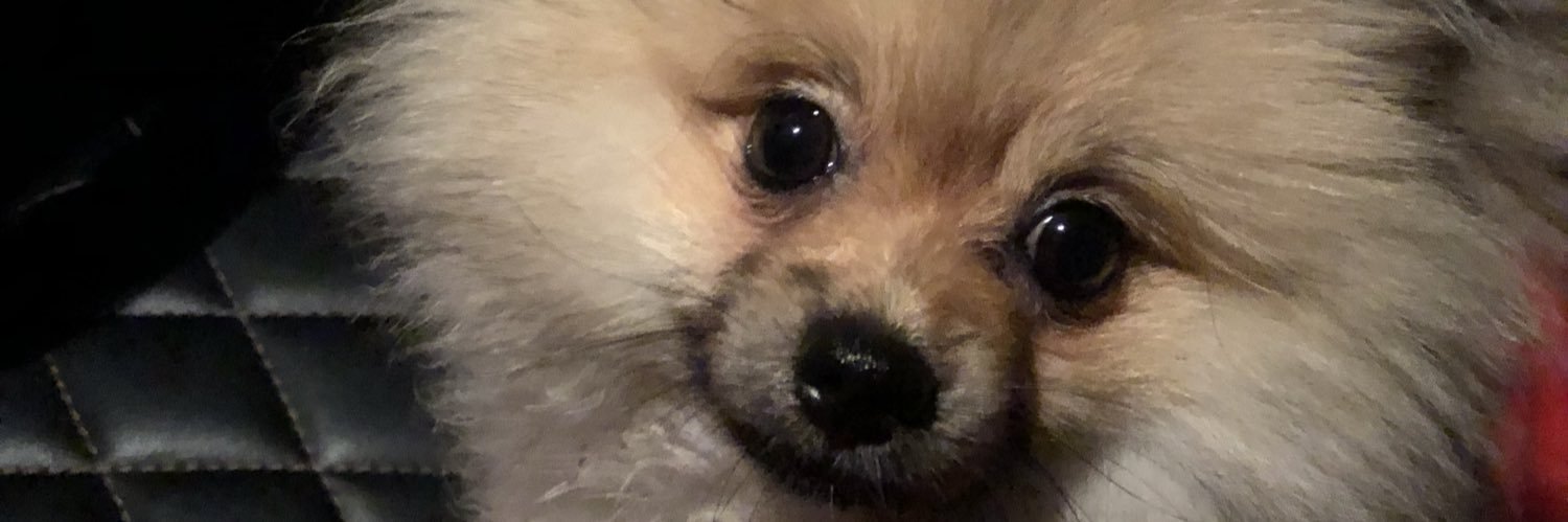 likemiko's profile banner image