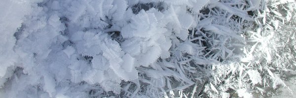 Kryophil Profile Banner