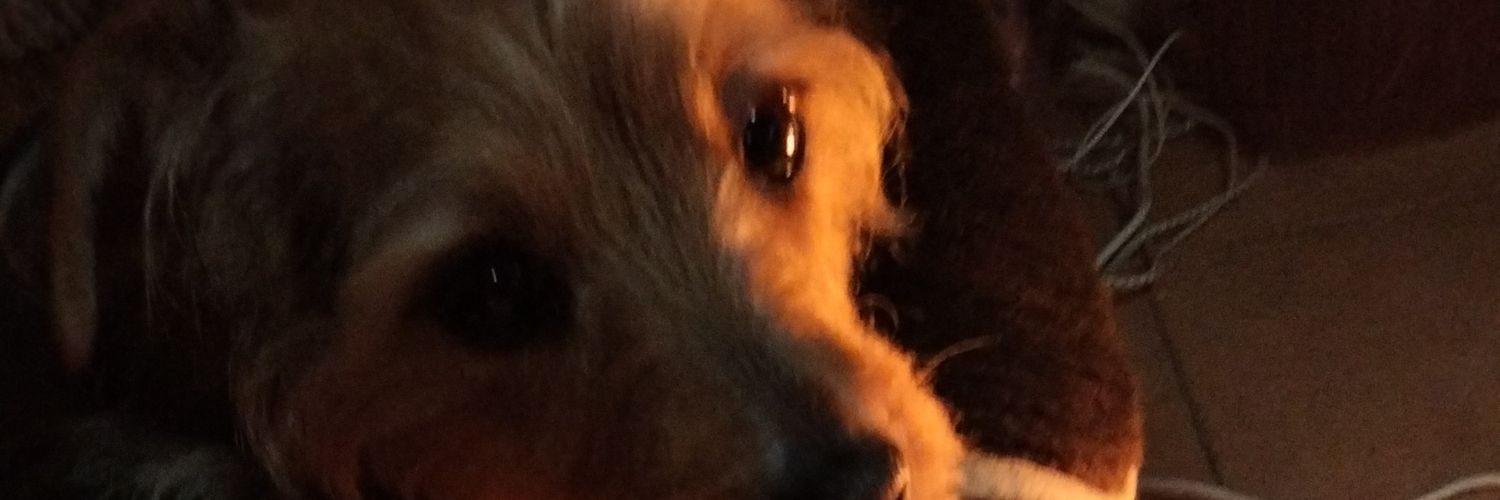 PedroSnchezFran's profile banner image