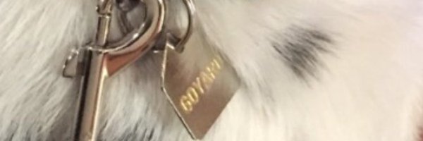 ThinkAdoptionF Profile Banner