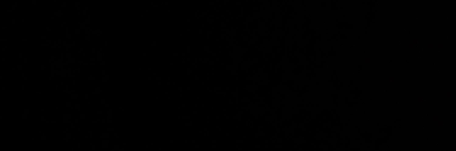 Carol Anderson banner