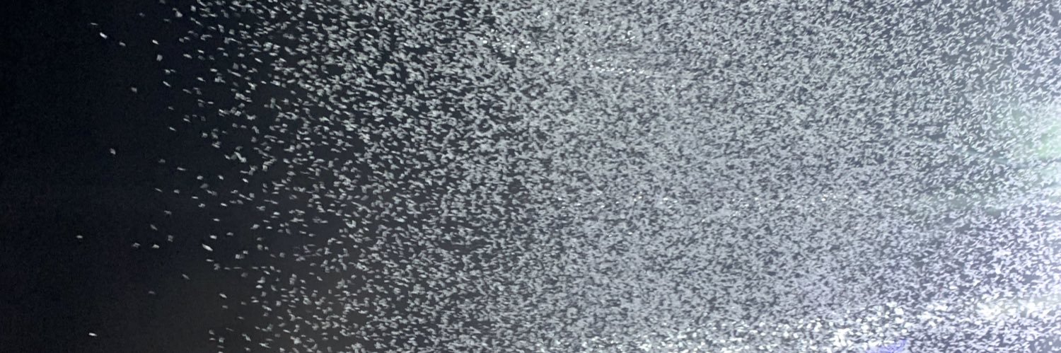 ameliemcr's profile banner image