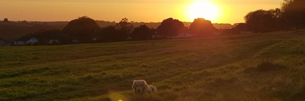 DrThomasAG Profile Banner