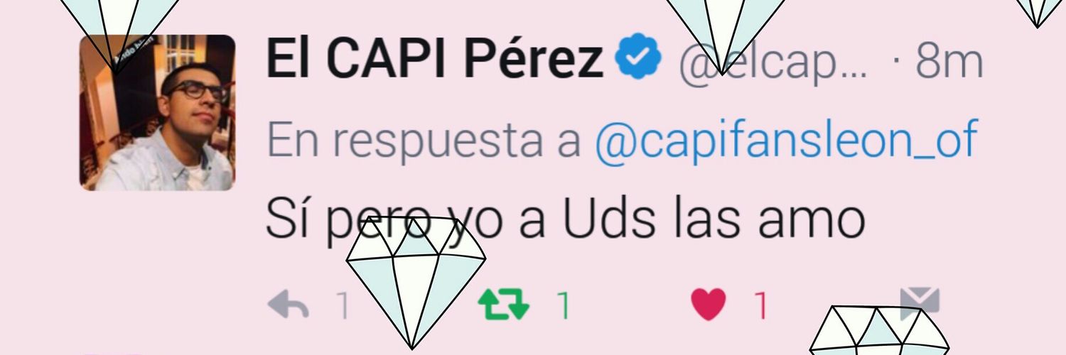 capifansleon_of's profile banner image