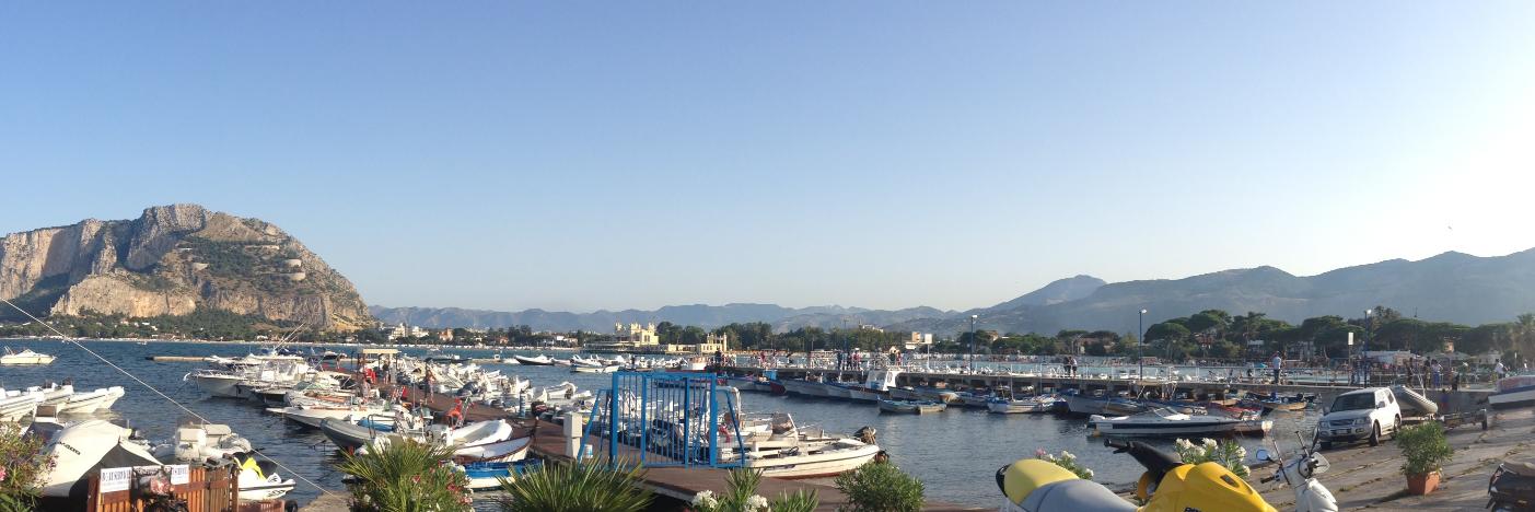 Michela Di Giorgio Martin banner