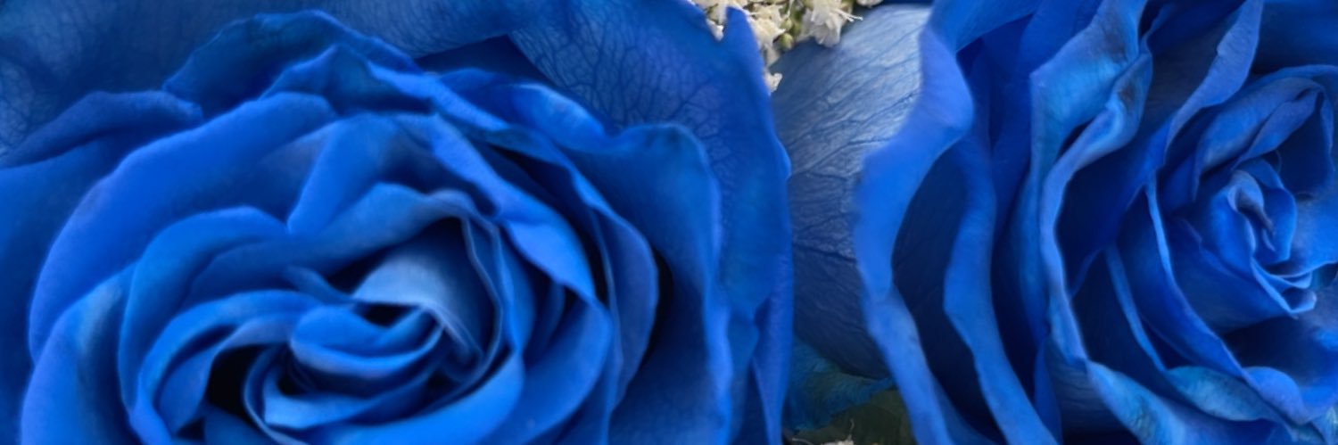 Angiexox7's profile banner image