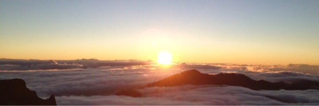 Hung Q. Ly, MD, SM banner