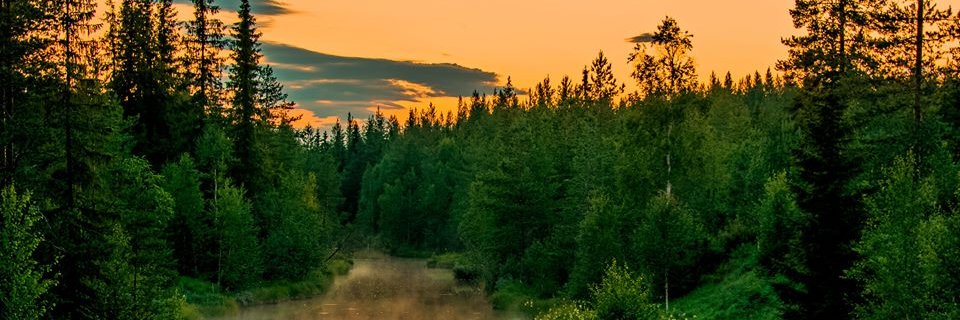 jnssonleif's profile banner image