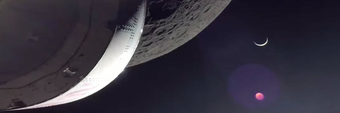 Patrick 🌻🌲🇵🇸 banner