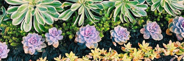 madelineeemae's profile banner image