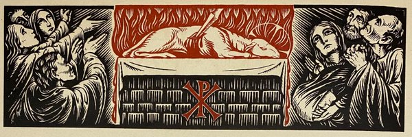chacaranda Profile Banner