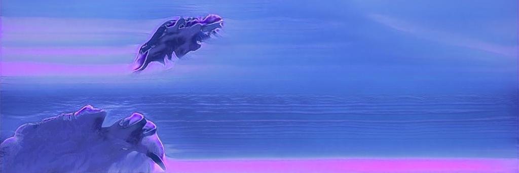 averagejoeorder's profile banner image