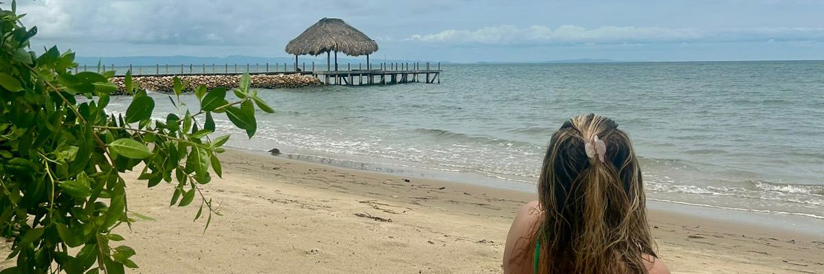 Alejacardonaf's profile banner image