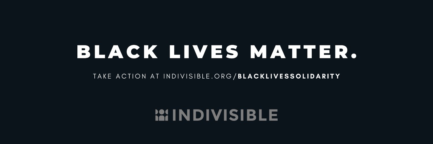 Indivisible WA 8 banner