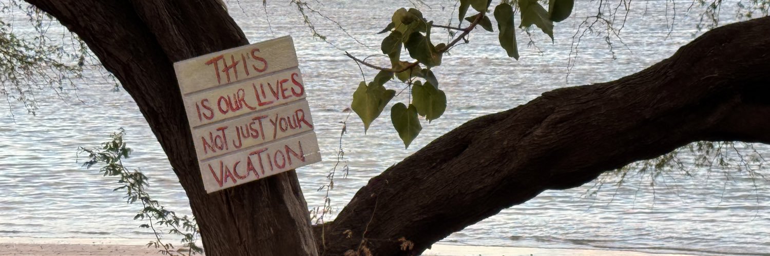 Ashley Westerman banner