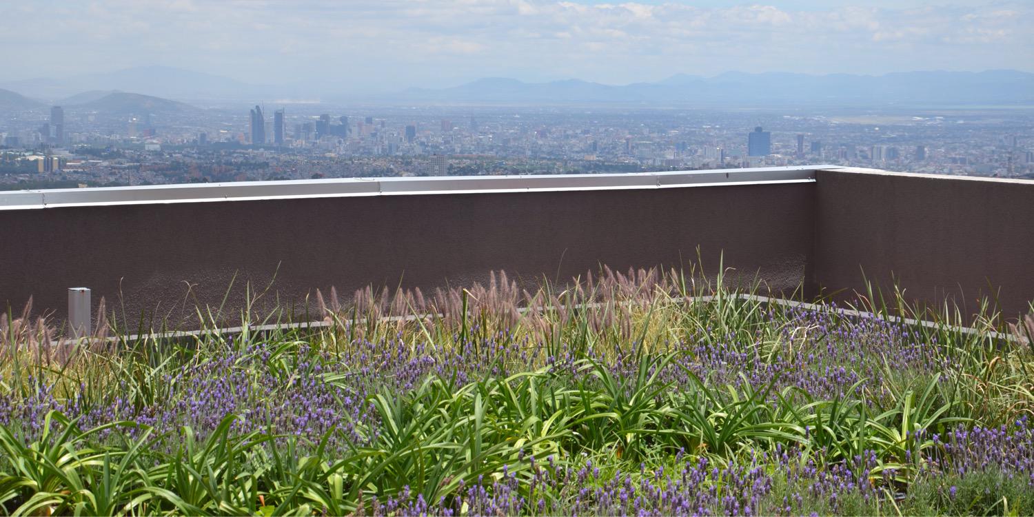 RobertoRegenera's profile banner image