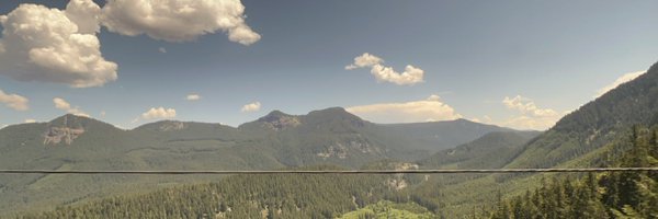 bumpasshell Profile Banner