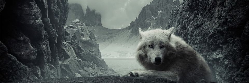 A_ALMALKI79's profile banner image