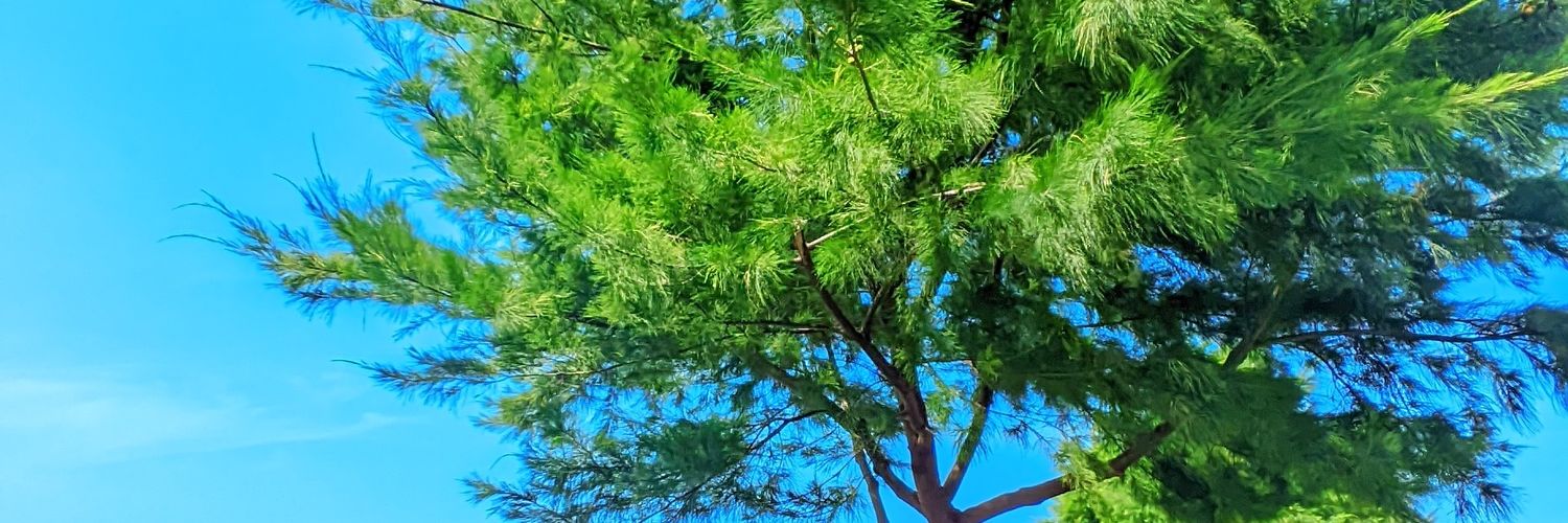 TopacioAdy's profile banner image
